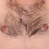 Hairy Chest